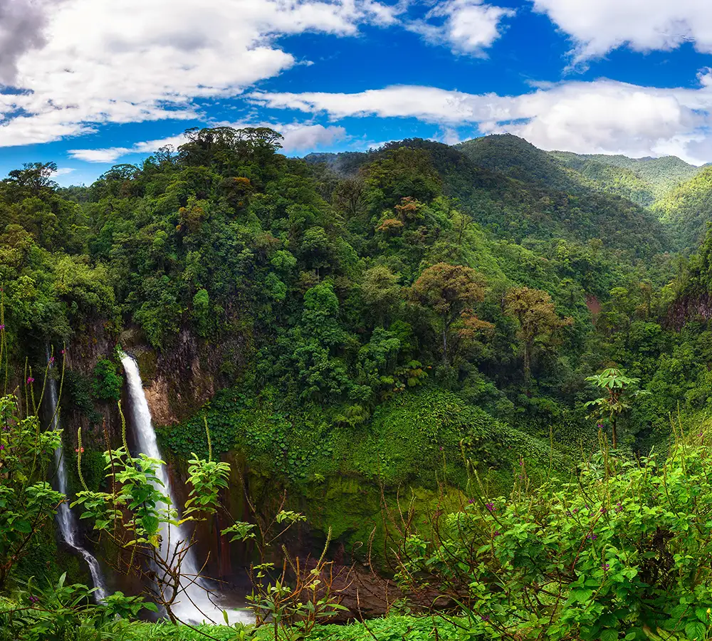 path-1-adventure-reset